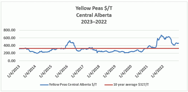 Yellow pea prices