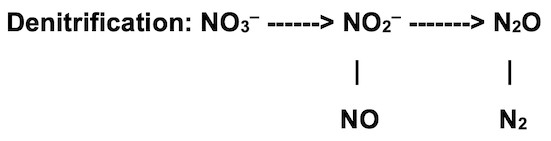 Nitrogen denitrification formula