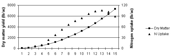 Graph showing wheat dry matter accumulation and nitrogen uptake
