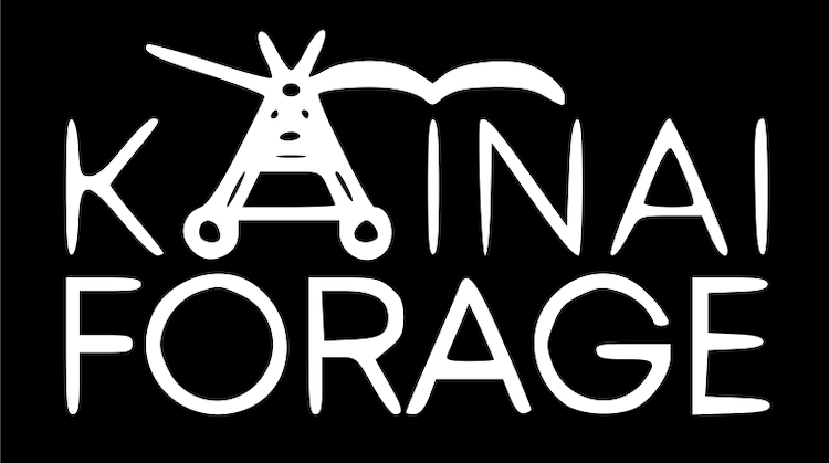Kainai Forage Logo