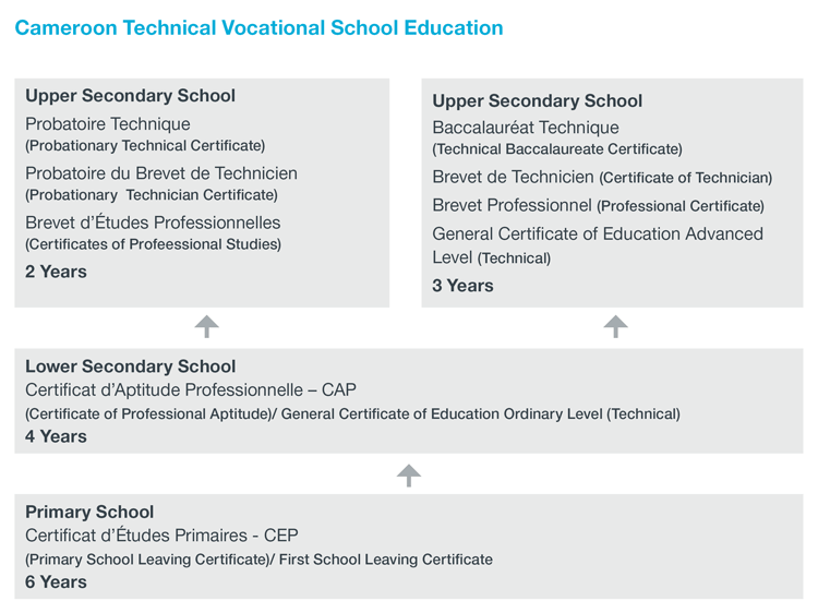 Flow chart of Cameroon's Technical Vocational School Education