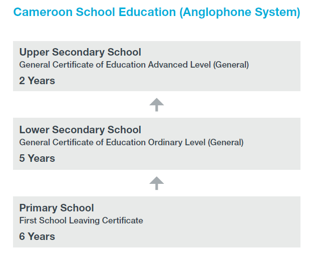 Flow chart of Cameroon's anglophone school system