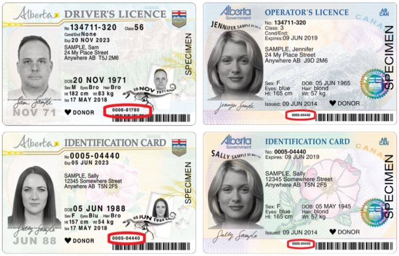 Image of 4 driver's licences with the Motor Vehicle Identification number circled in red