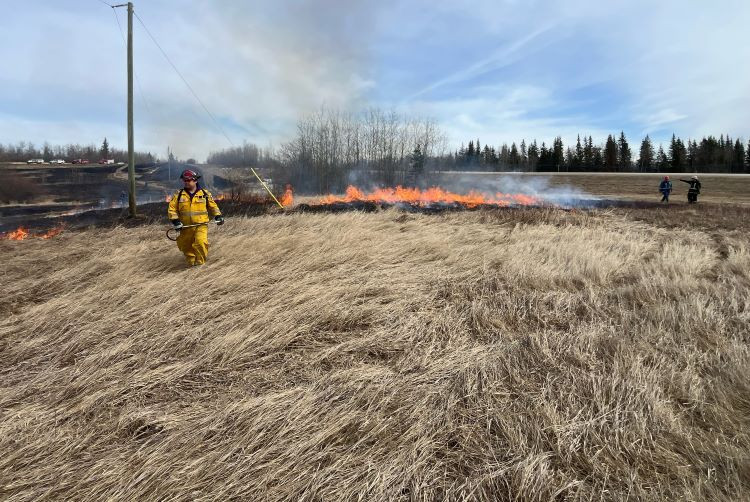 Sturgeon Lake Fire Dept and AB Wildfire are working together to burn dead dry vegetation in the community to reduce the risk of wildfire. 