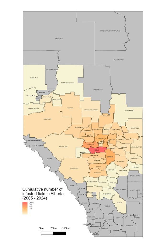 Map of Alberta showing clubroot infestation in 2023.