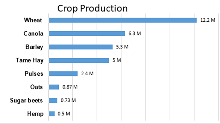 Bar chart of top crops produced in Alberta in 2024