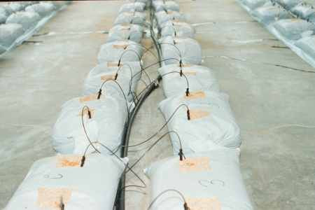 Sawdust bags set out in a double row.