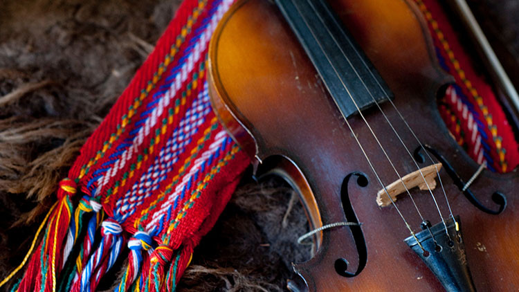 Violin