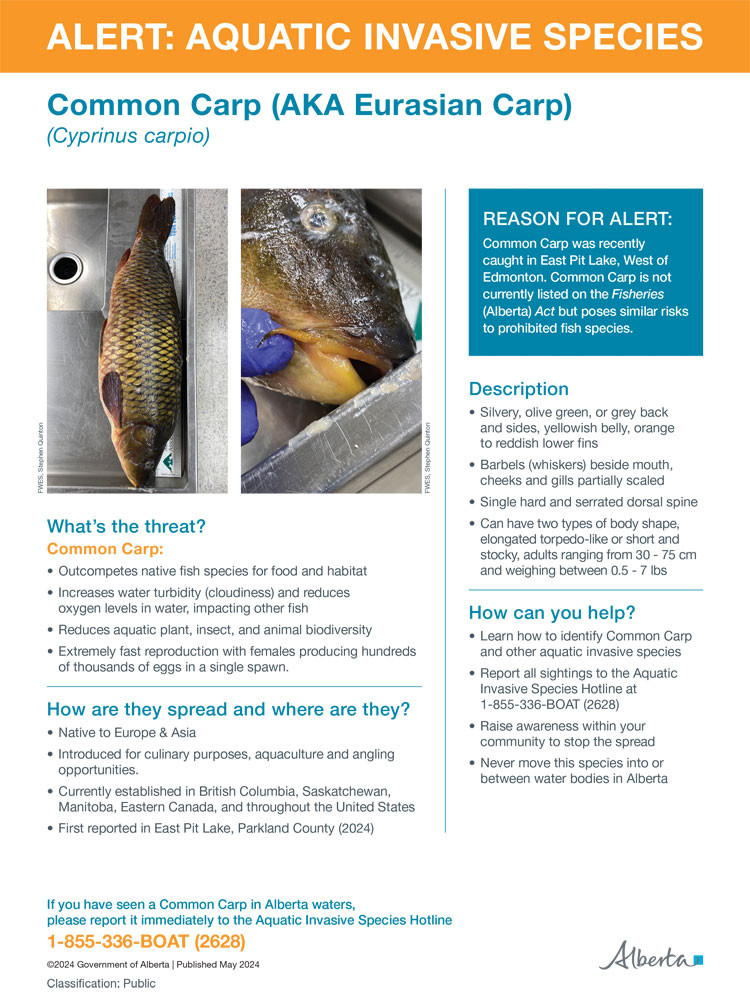 Thumbnail image of fact sheet