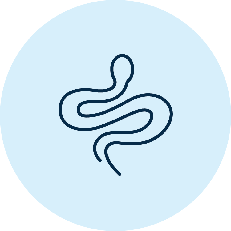 Icon outline of a snake