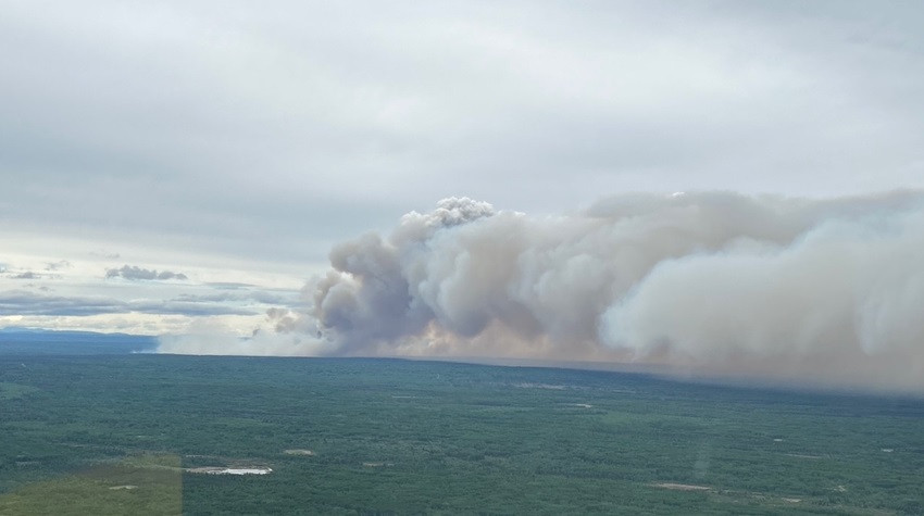 A dense, lush-green forested landscape with a overcast cloudy horizon. A column of dark grey smoke rises up from the trees and drifts out of frame.
