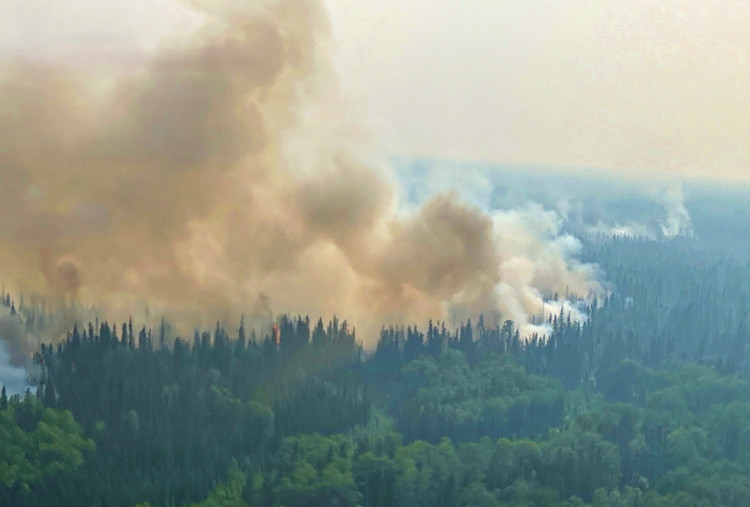 Aerial view of dense forest with thick smoke rising as a wildfire burns through the trees. The smoke billows high into the sky, obscuring the landscape.