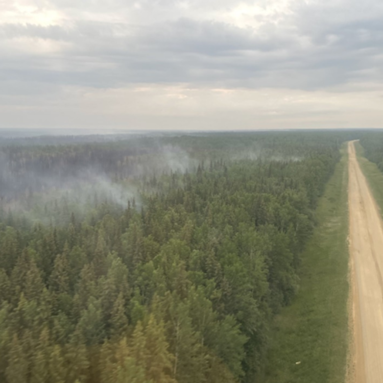 SWF100 highway 686
