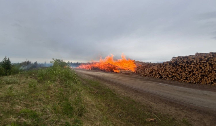 A large log deck burning intensely alongside a dirt road, with flames stretching high into the air. Thick smoke drifts into the overcast sky. Vegetation lines the opposite side of the road.
