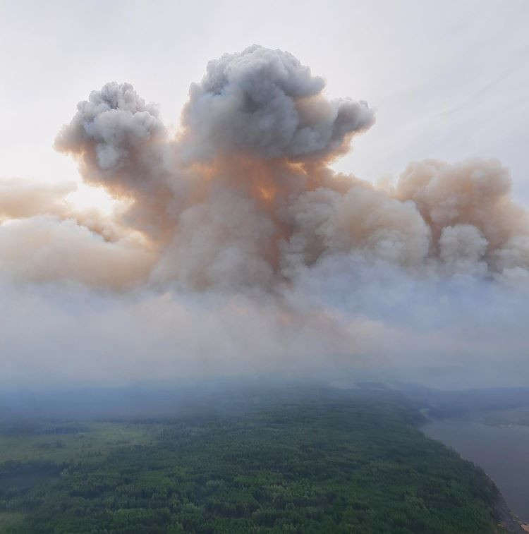 Aerial view of a dense forest with a massive plume of smoke rising from an active wildfire. The smoke billows upward, forming towering clouds tinged with orange from the fire below.