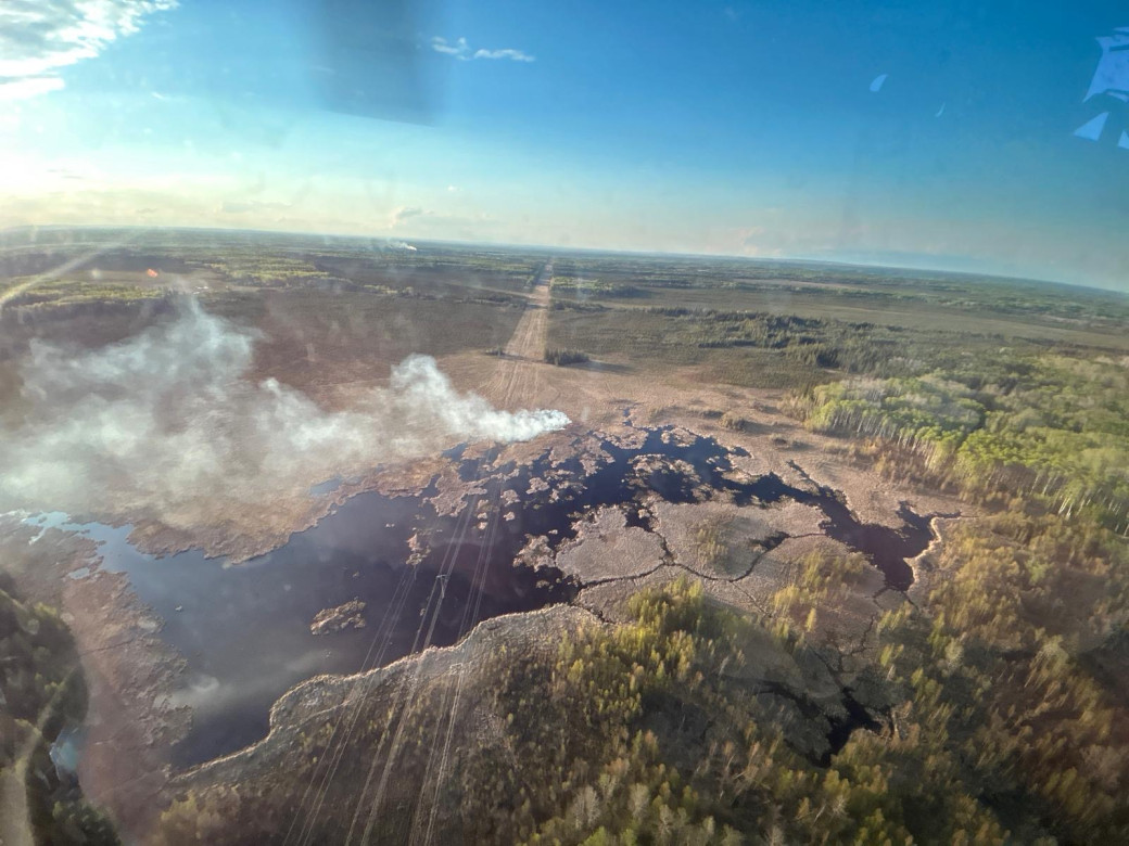 Wildfire smoke blows beside a body of water in the forest.