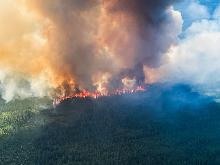 Aerial view of a wildfire burning along a forested ridge. Flames form a long fire front beneath a massive column of thick gray and brown smoke rising into the sky, with dense evergreen forest in the foreground.