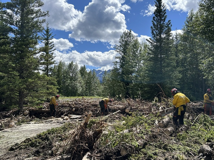 Several wildfire personnel use chainsaws to clear storm debris and fallen trees in a forested area. Evergreen trees and distant mountains are visible under a blue sky with large white clouds.