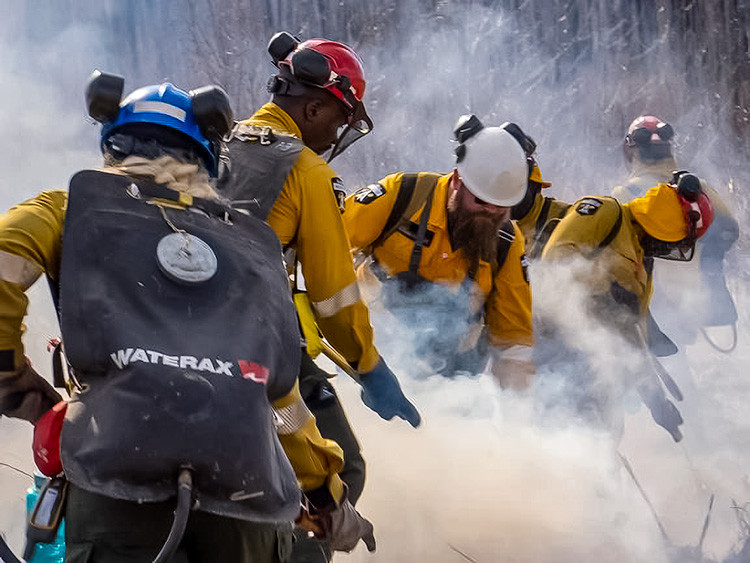 Wildland firefighters in yellow protective gear and helmets work together amid smoke, using tools and a water backpack to suppress a fire on forest ground, with charred trees and drifting smoke in the background.