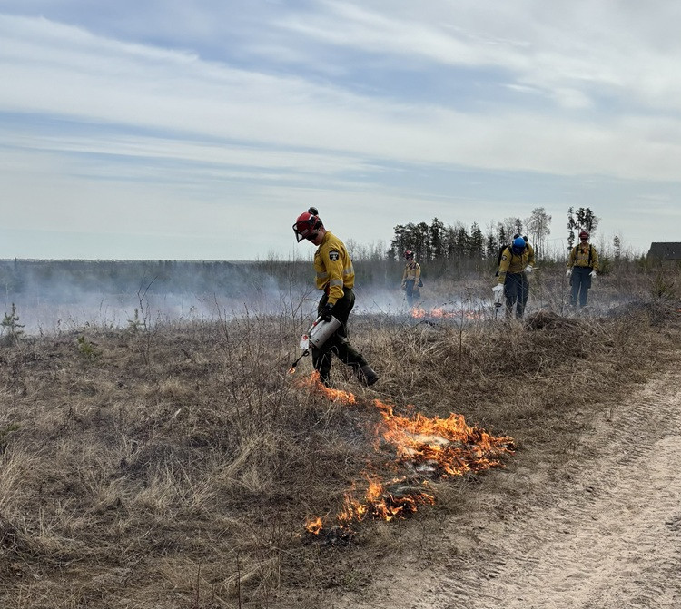 Four firefighters in yellow protective gear conduct a controlled burn in a grassy field, using drip torches as low flames and light smoke spread across the landscape under a cloudy sky.