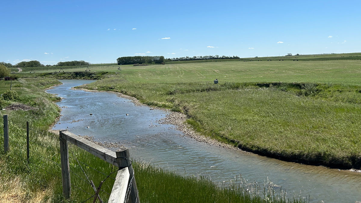 Willow Creek