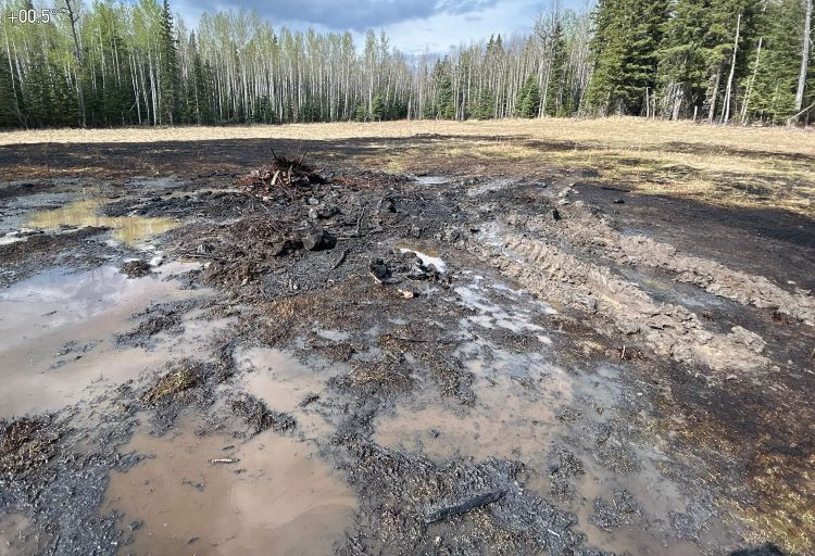 black and scorched earth soaked with water