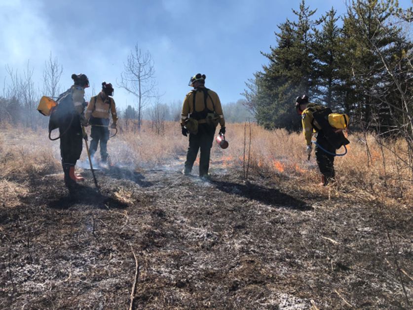 Four firefighters complete a hazard reduction burn to reduce wildfire risk