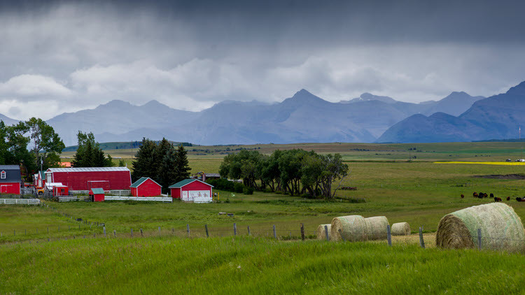 Farm yard