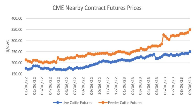 Orange and blue line graph: CME nearby contract futures prices