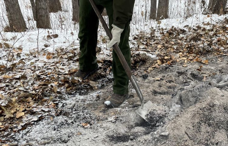 revisit winter burning