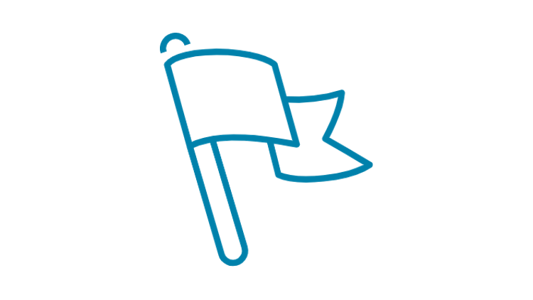 Flag icon