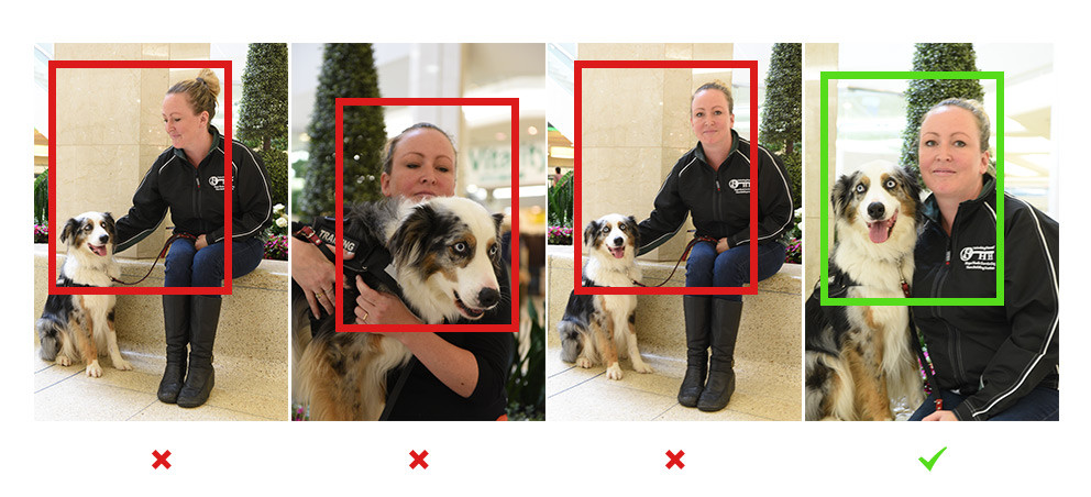 Example of a Service Dog Identification card