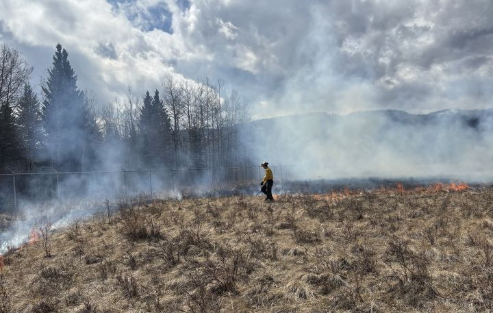 A wildland firefighter is walking through thick dead grass, lighting it on fire. It is producing low flame and smoke.