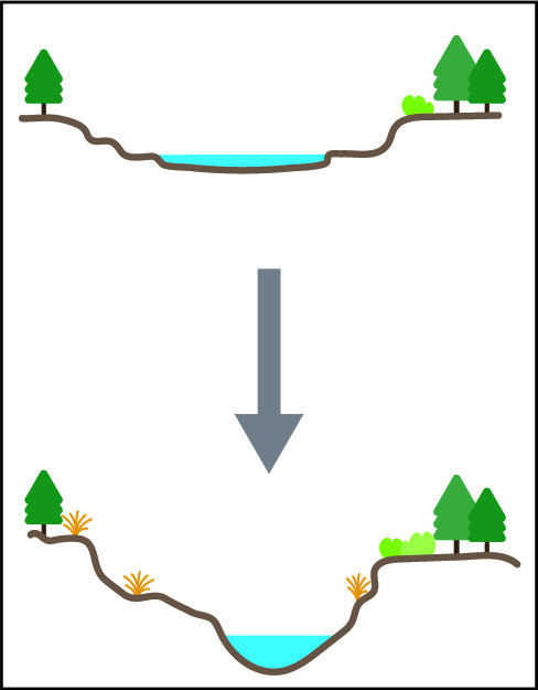 Image of channel incision