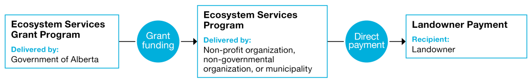 A diagram outlining the Ecosystem Services Grant Program framework, showing how the Government of Alberta delivers grant funding to various organizations that provide ecosystem services by making direct payments to landowners who retain or improve such services on their land.