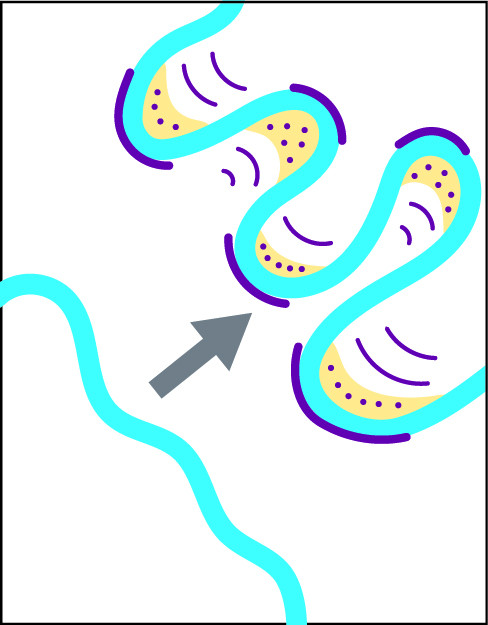 Image of gradual bend migration