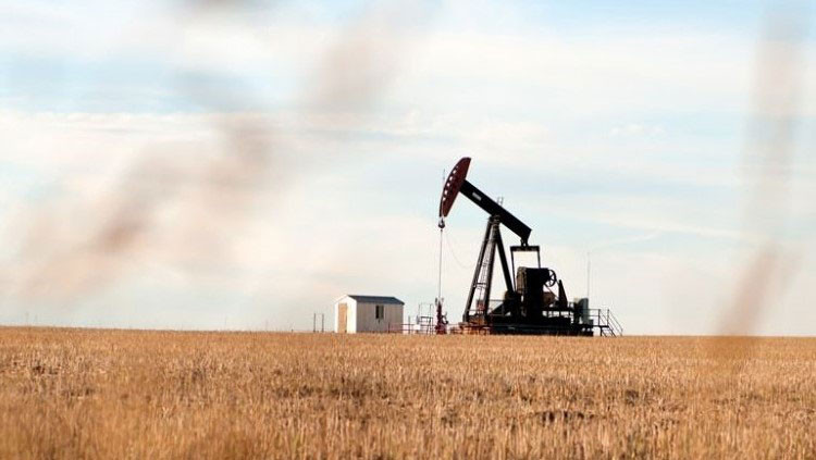 Oil pump in a wheat field