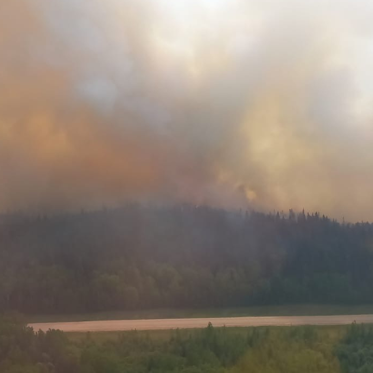 Heavy Smoke SWF100