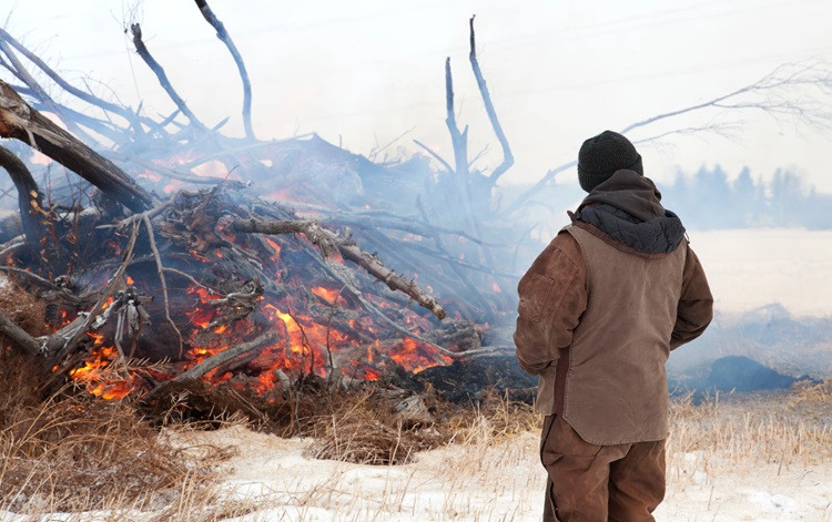 Person watching wood burn