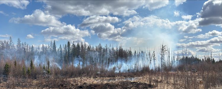 wildfire crews working on a grass fire 