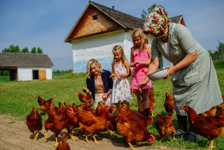 Image_description_goes_here