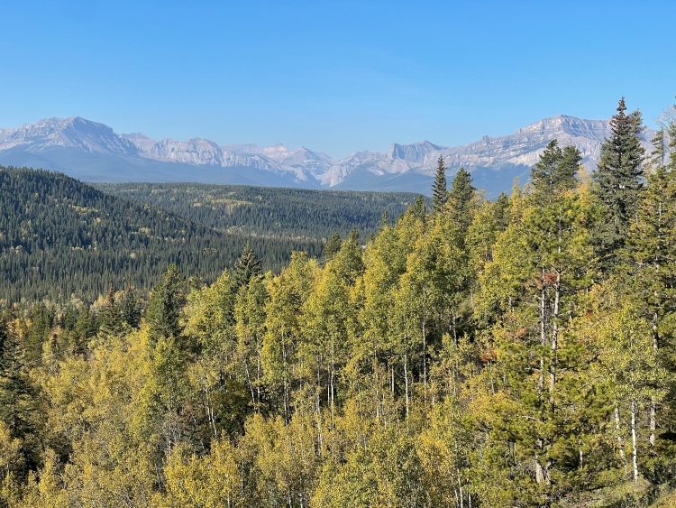 Image_description_goes_here