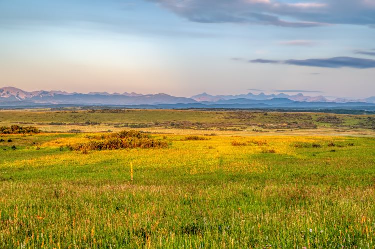 southern Alberta landscape with prairie fields and mountainous background
