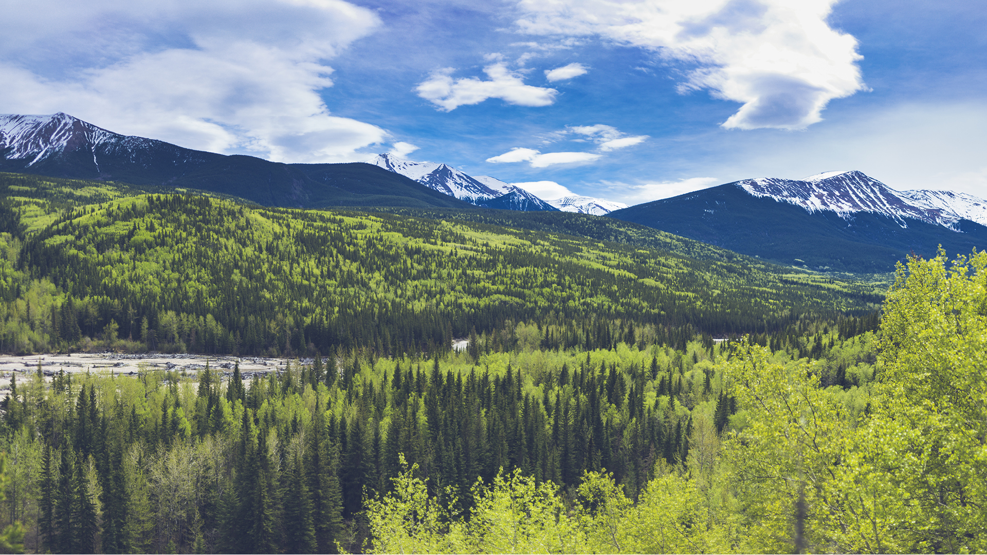 Sulphur Gates Provincial Recreation Area near Grande Cache