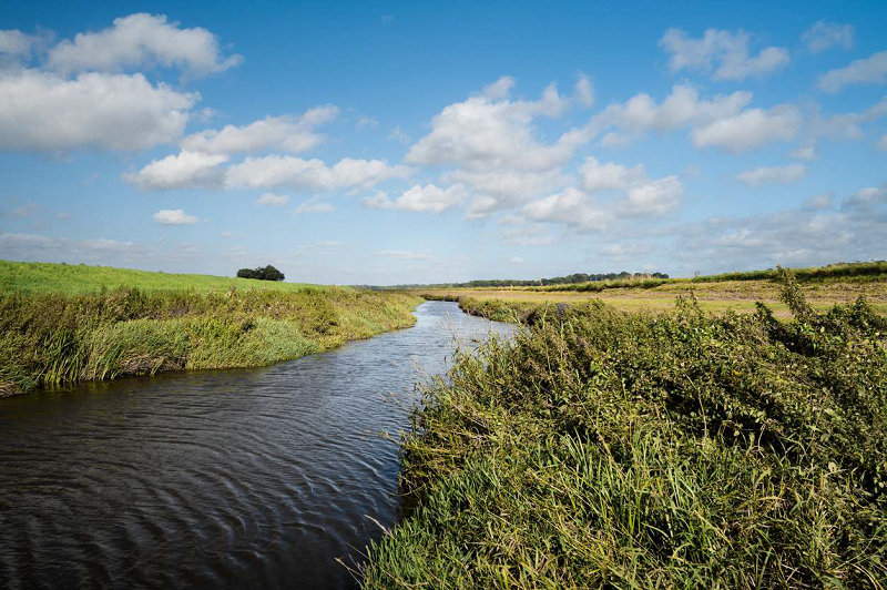A flow of water runs under blue skies in Wheatland County helping restore watershed.