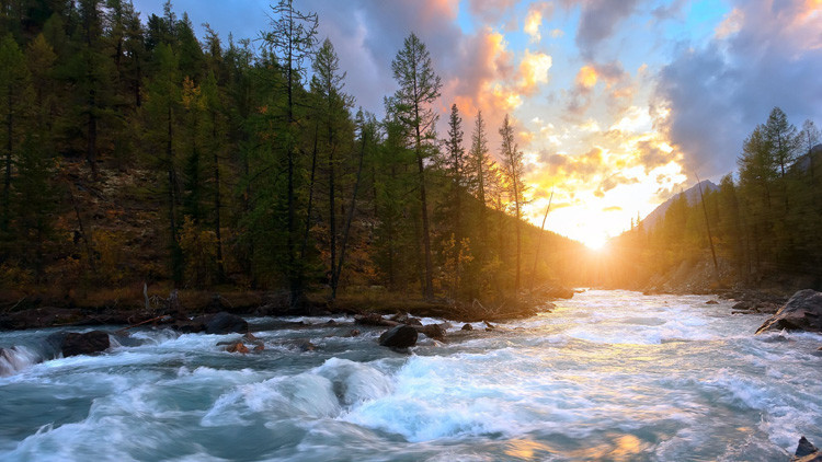 A river flows away from the camera over rapids through a wooded area towards the sunset.