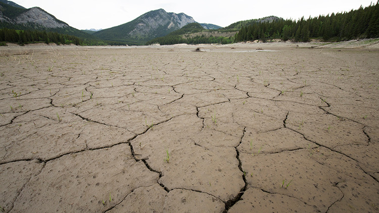 Dry cracked mud flat in the Alberta Rockies, evergreen trees and mountains in the distance