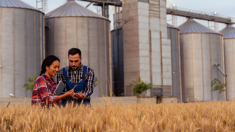 A woman with her hair in a braid wearing a pink and white plaid shirt holding a notebook, standing next to a man in a plaid shirt and blue overalls holding wheat crops in a wheat field, with large silver grain bins behind them