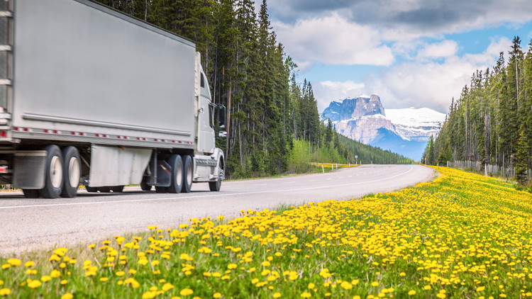 A semi truck driving past a field of yellow flowers towards the Canadian Rockies
