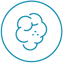 Icon depicting cloud of smoke bordered by a blue circle.